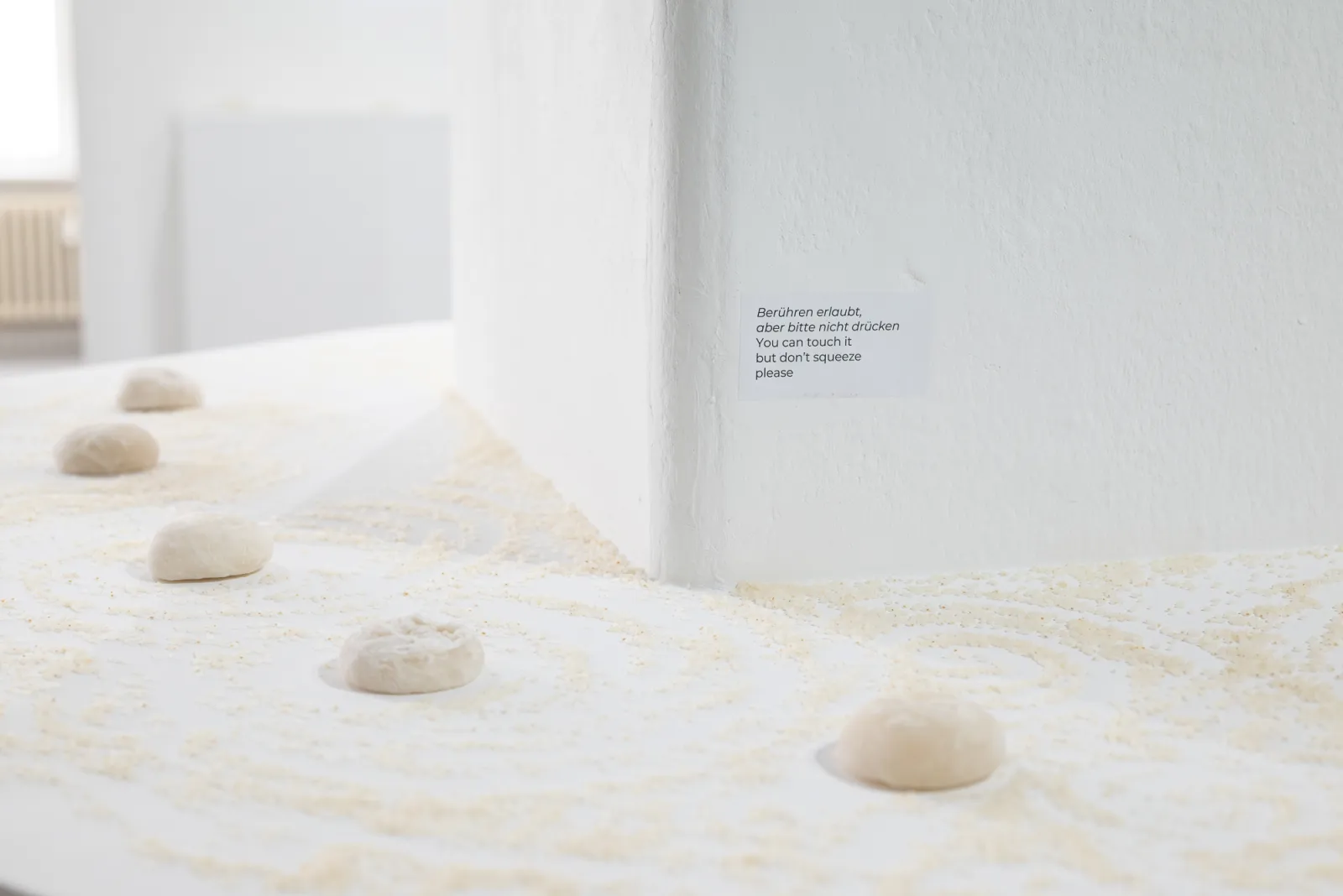 YES YOU CAN — installation and zine, exhibition view